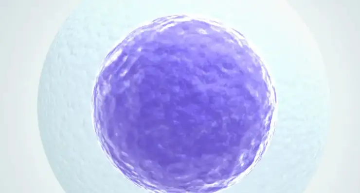 Understanding Egg Freezing