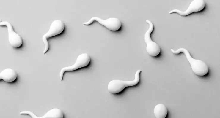 What is Infertility
