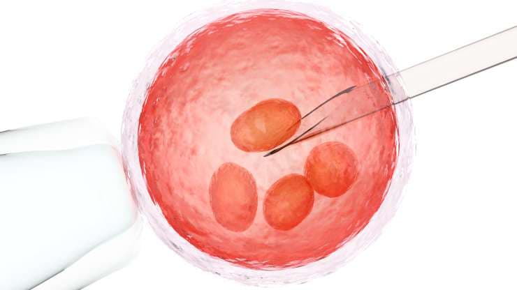 4. Fertilization by IVF or ICSI: Eggs are fertilized with sperm and monitored as embryos develop in carefully controlled lab conditions.