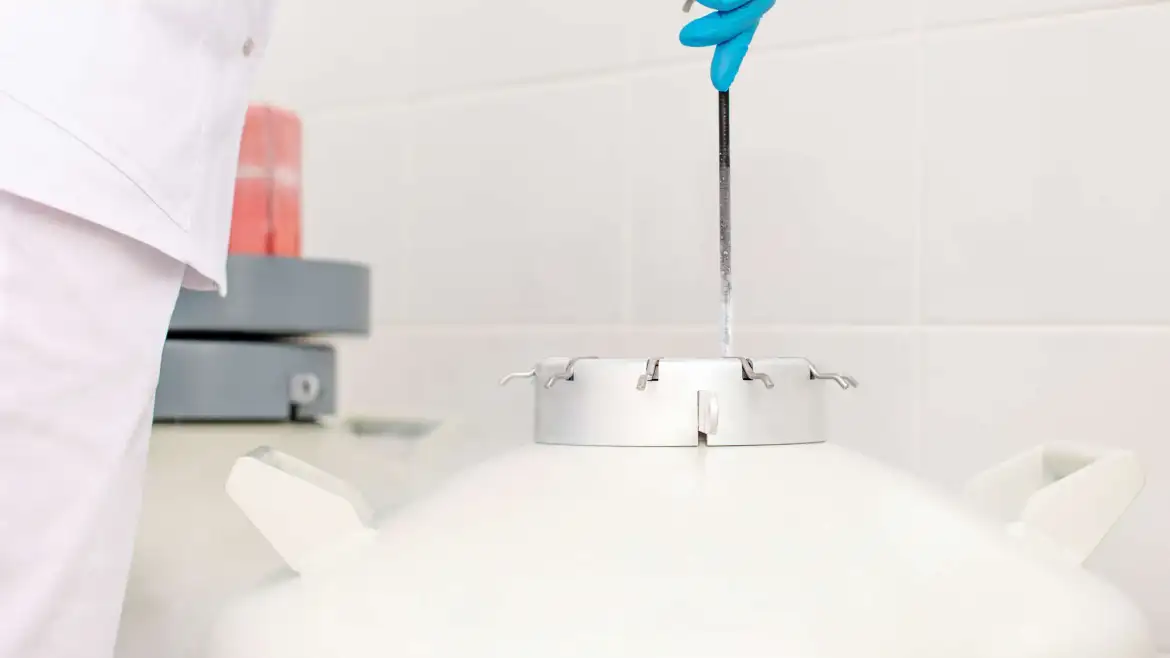 Embryo freezing and storage